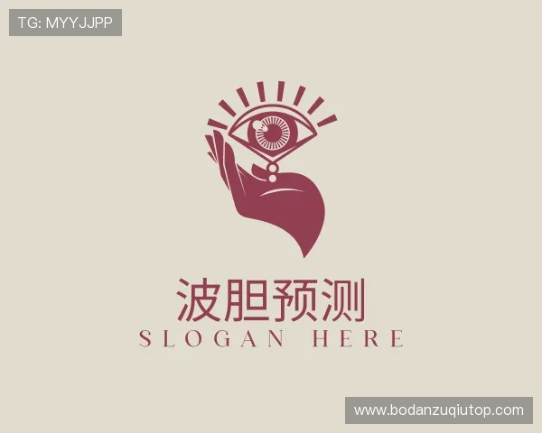 解读波胆网